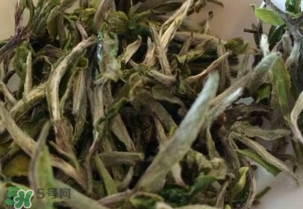 白茶需要洗茶嗎？白茶是洗還是不洗？