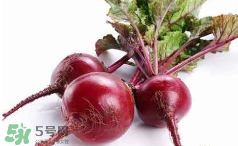 甜菜根是蘿卜嗎？甜菜根是什么菜