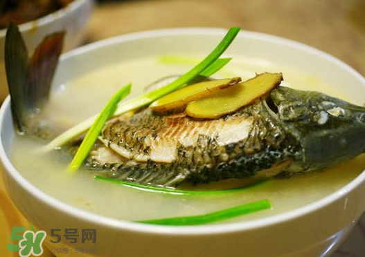 鯉魚湯怎么做好吃？鯉魚湯里面可以放什么？