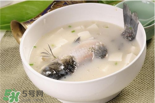 喝鯽魚(yú)湯會(huì)胖嗎？鯽魚(yú)湯可以經(jīng)常喝嗎？