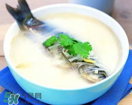 鯽魚湯可以放牛奶嗎？牛奶鯽魚湯的做法