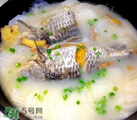 鯽魚湯可以放牛奶嗎？牛奶鯽魚湯的做法