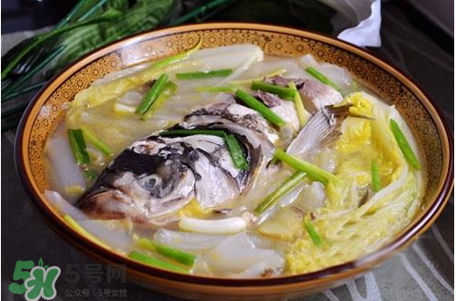 鰱魚湯怎么熬湯？鰱魚湯的功效與作用