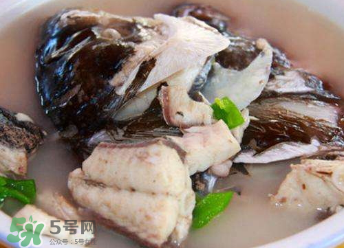 鰱魚湯怎么熬湯？鰱魚湯的功效與作用