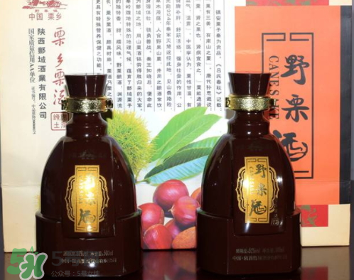 泡板栗酒用什么酒最好？板栗用什么酒泡最好？