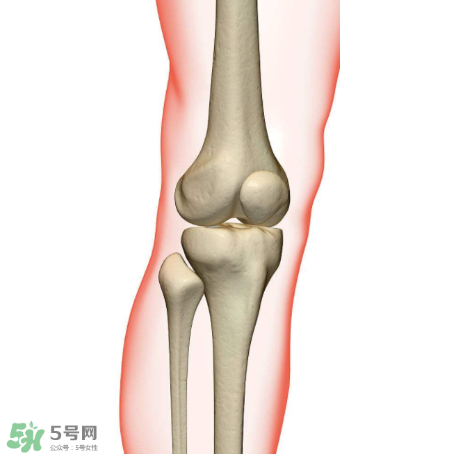 風濕不治療可以治愈嗎？早期風濕能自愈嗎？