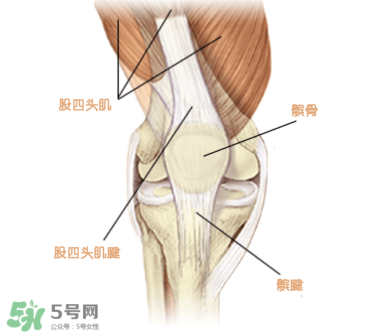 風(fēng)濕可以吃螃蟹嗎？得了風(fēng)濕能吃螃蟹嗎？