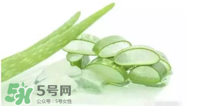 蘆薈怎么吃？蘆薈番茄湯的做法 