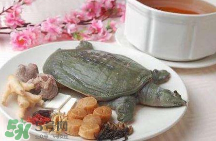 腳魚是什么？腳魚和烏龜?shù)膮^(qū)別