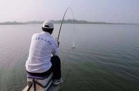 大蒜泡酒能釣魚嗎？大蒜泡酒釣魚的方法