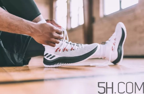 adidas dame 4多少錢？阿迪達斯利拉德四代上腳效果