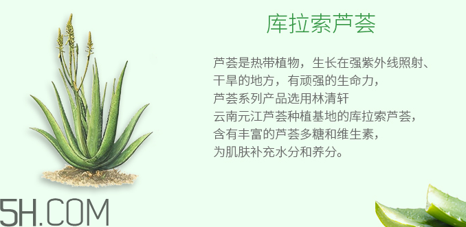 林清軒蘆薈面膜泥怎么樣？林清軒蘆薈面膜泥測(cè)評(píng)