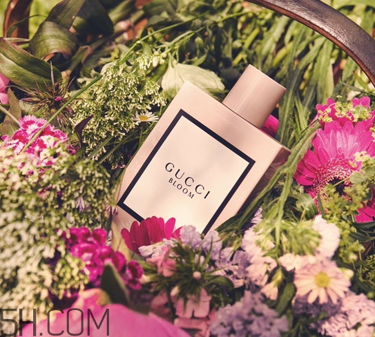 gucci bloom香水好聞嗎？gucci bloom香水香評(píng)