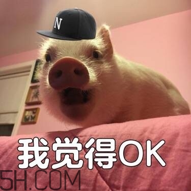 ojbk是什么意思？ojbk表情包