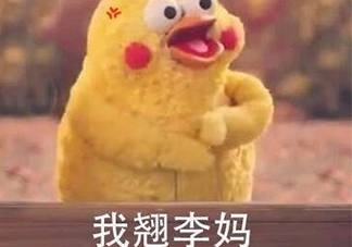 翹李媽什么意思？我翹李媽表情包