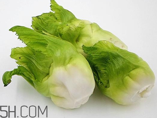 兒菜為什么叫兒菜？兒菜什么季節(jié)吃的