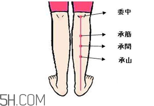 小腿抽筋可以跑步嗎？小腿抽筋可以拔火罐嗎