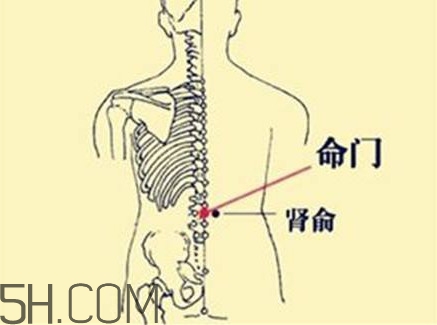 小腿抽筋可以跑步嗎？小腿抽筋可以拔火罐嗎