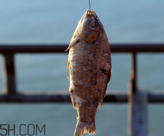 咸魚(yú)什么人不能吃？怎樣去除咸魚(yú)的咸