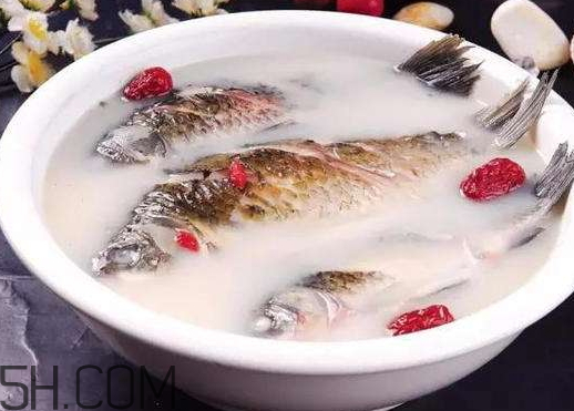 鯽魚湯是涼性的嗎 鯽魚湯是熱性還是涼性