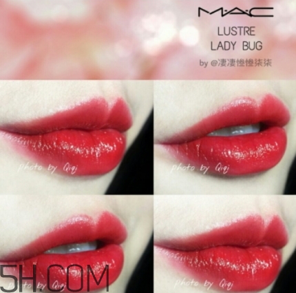 mac lady bug好看嗎？lady bug試色