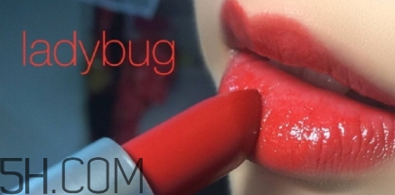 mac lady bug掉色嗎？mac ladybug真假辨別