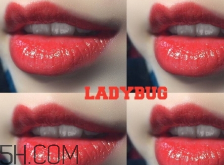 mac ladybug多少錢？mac lady bug專柜價(jià)格