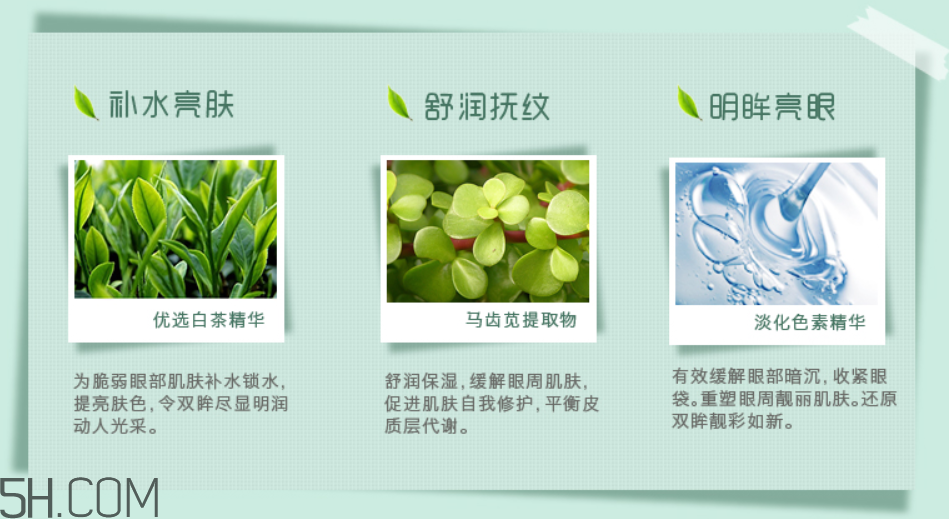 一葉子白茶水潤(rùn)煥采蝶翼眼膜