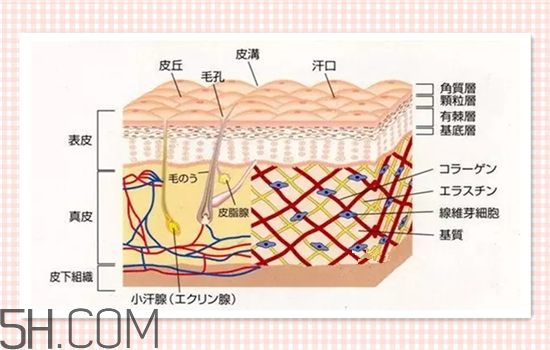 水光針可以祛斑嗎？涂抹式水光針的效果好嗎？