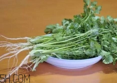 香菜根煮水能減肥嗎？香菜根煮水能天天喝嗎？