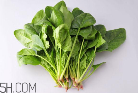 羊肉和菠菜能一起吃嗎？吃羊肉能吃菠菜嗎？