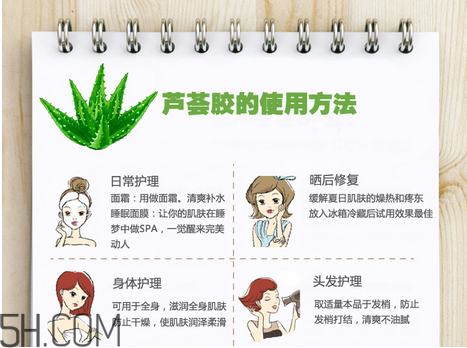 蘆薈膠的功效和作用有哪些？教你蘆薈膠的正確使用方法