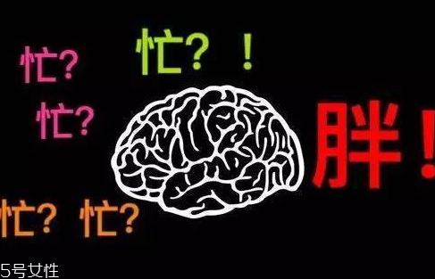 久坐不動上班族如何減肥？越努力工作的人越容易發(fā)胖