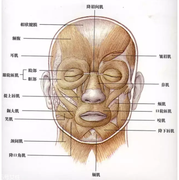 法令紋怎么去除？最有效的方法是醫(yī)美