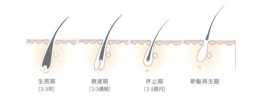 生發(fā)精華什么牌子好 5款最有效的生發(fā)精華