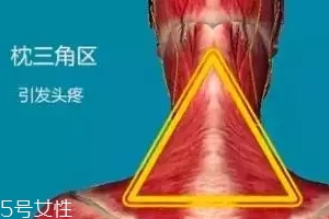 人體黃金三角區(qū)有哪些？養(yǎng)好了百病不擾