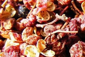 花椒長(zhǎng)蟲(chóng)怎么處理 殺蟲(chóng)是關(guān)鍵