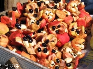 阿基果是什么水果？阿基果功效作用