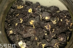 黑枸杞還還是紅枸杞好？各有千秋