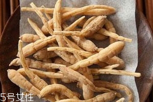 太子參什么時(shí)候吃好 飯后一個(gè)小時(shí)最好