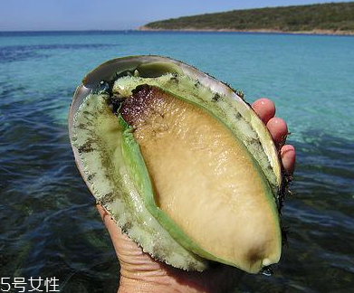 鮑魚罐頭好吃嗎？味道還可以