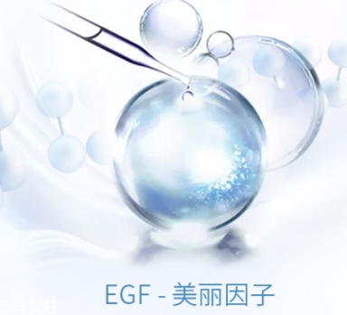 egf和玻尿酸的區(qū)別