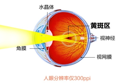 葉黃素可以預(yù)防近視嗎?