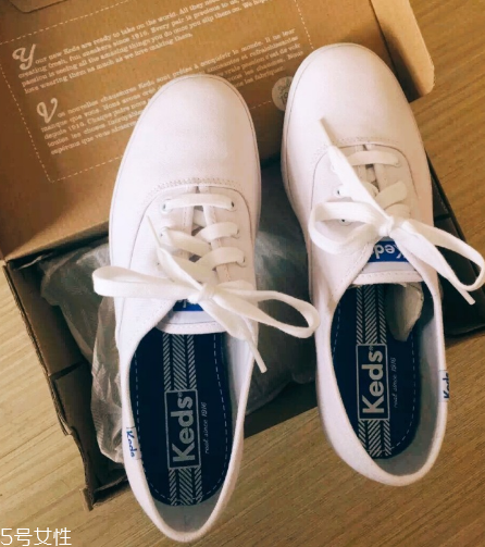 keds小白鞋多少錢？keds帆布鞋正品價位