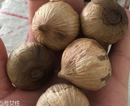 黑蒜怎么吃？黑蒜最好吃的吃法