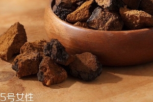 樺樹茸是樹黃嗎？樺樹茸屬于什么