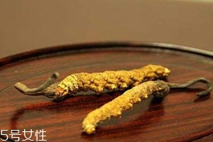 白蟲草價格多少錢一斤 白蟲草最新價格行情