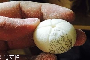 象牙果怎么盤玩 象牙果怎么保養(yǎng)