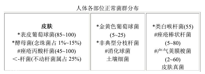 sk2神仙水平替有哪些 平價(jià)版sk2神仙水盤(pán)點(diǎn)