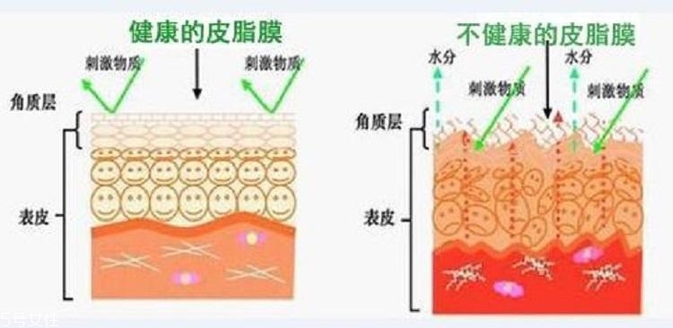 干皮怎么補(bǔ)水 干皮科學(xué)補(bǔ)水三步走